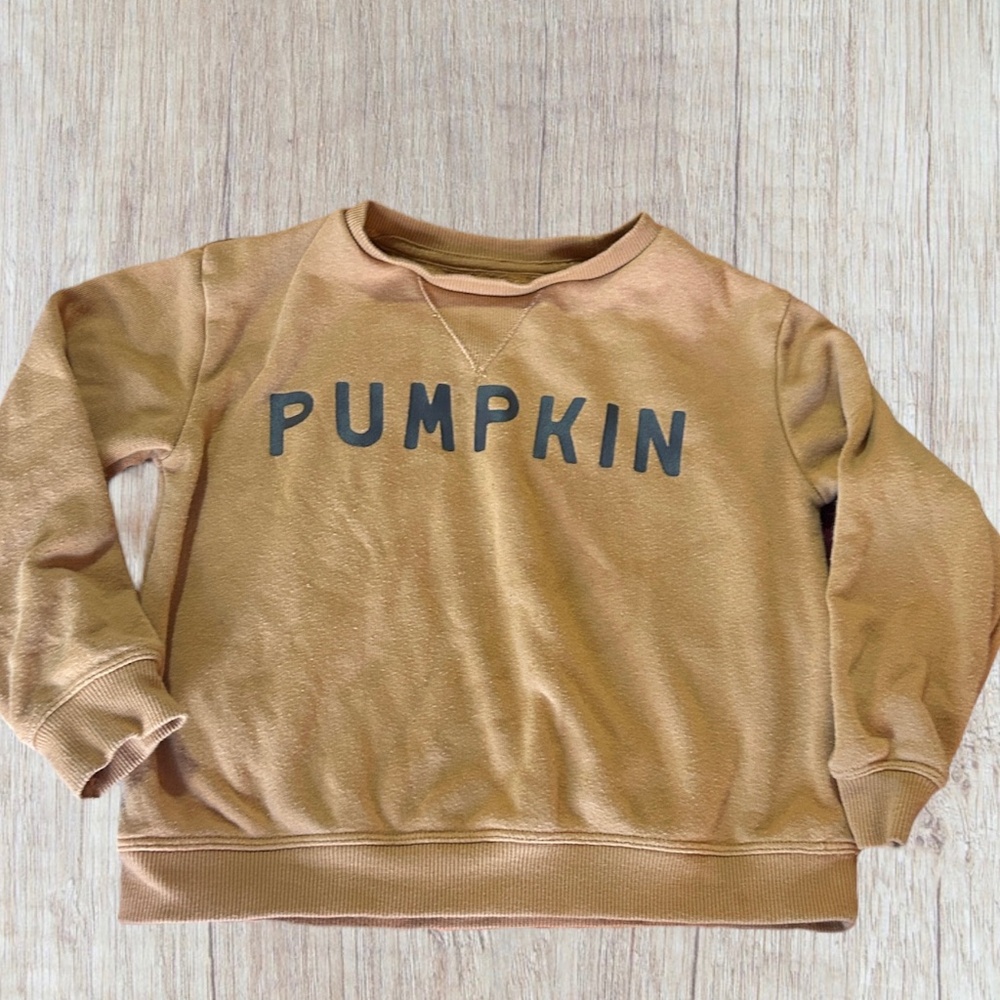 4t Little Co Pumpkin Pullover